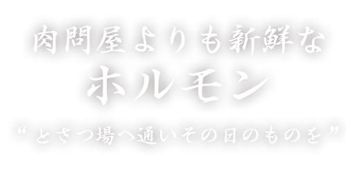  新鮮なホルモン